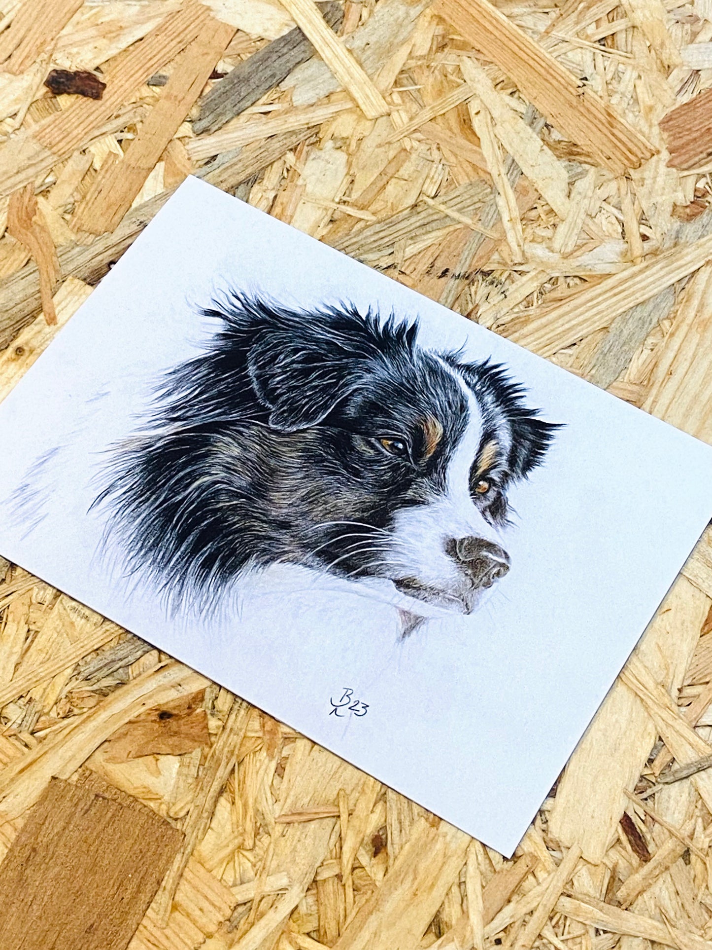 Hund PK bentje.art
