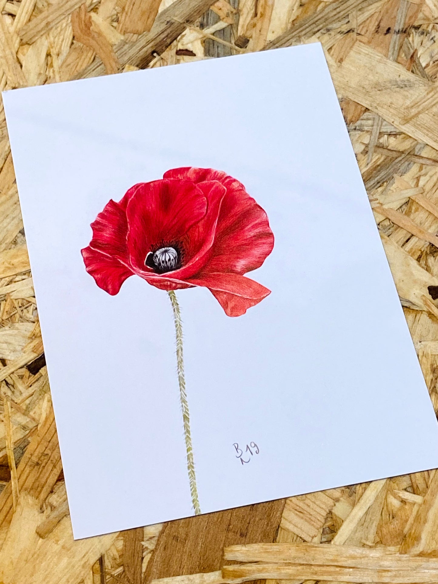 Mohnblume PK bentje.art