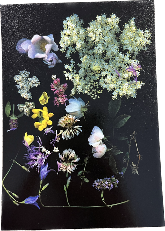 Blumen auf schwarz Postkarte