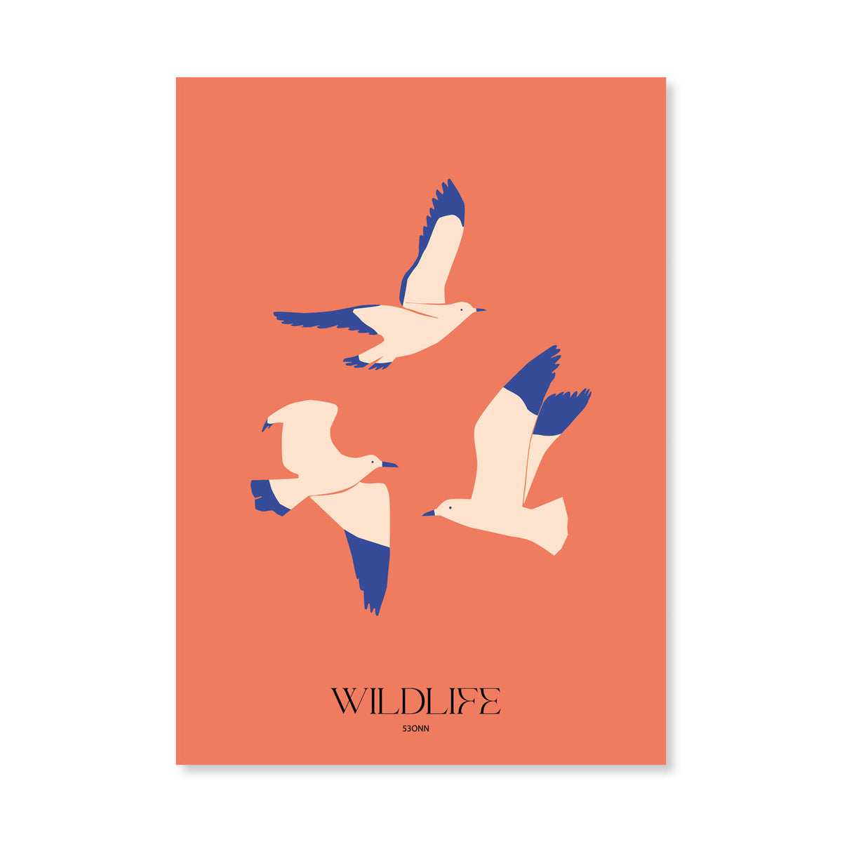 Wildlife Möwen A3 Poster