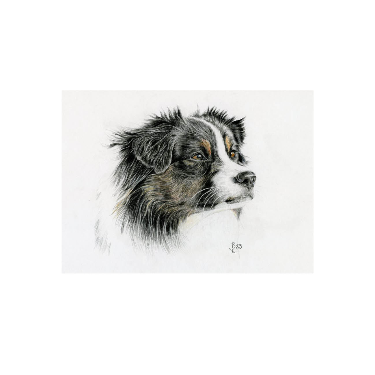Hund PK bentje.art