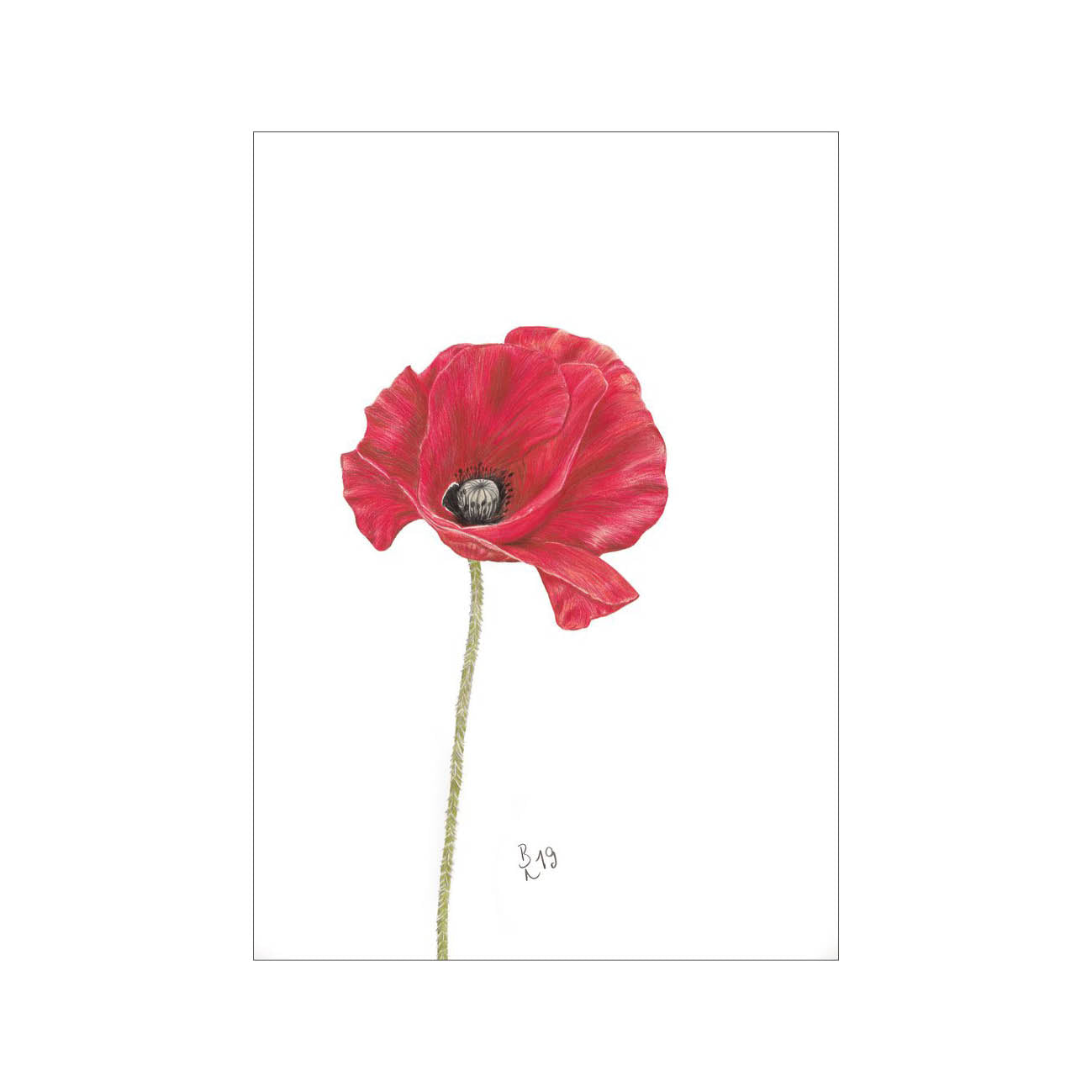 Mohnblume PK bentje.art