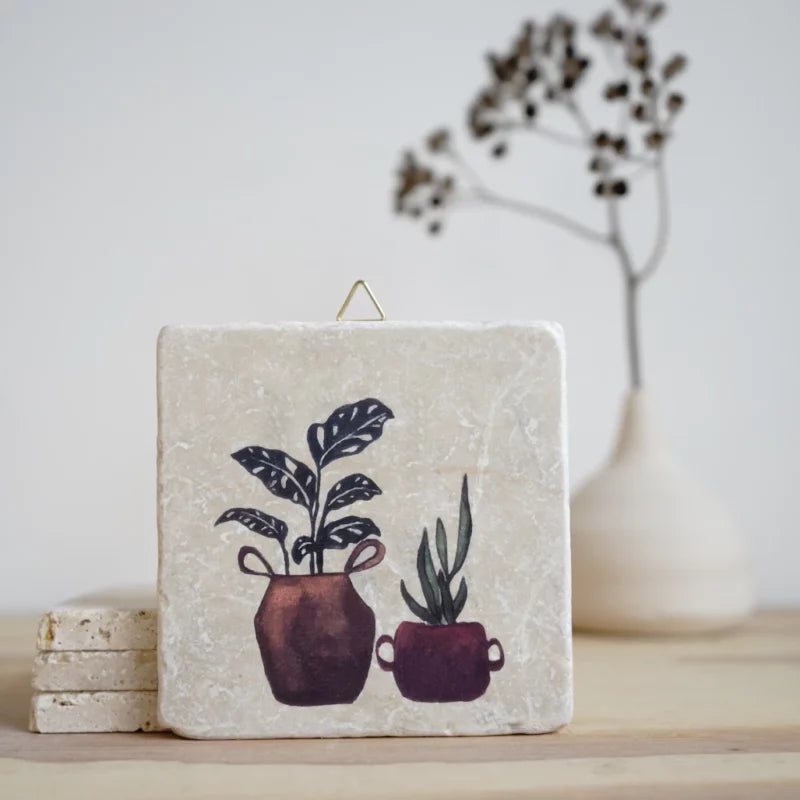 Steinfliese Pflanzen im Topf III