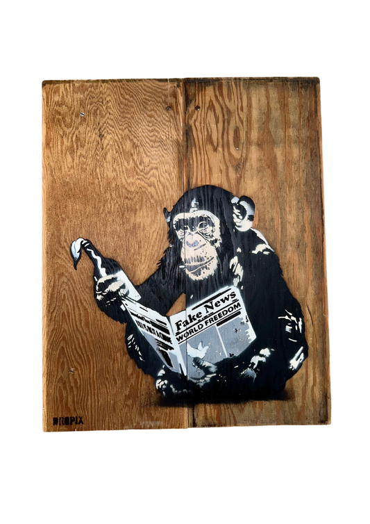 Monkey Business , DROPIX