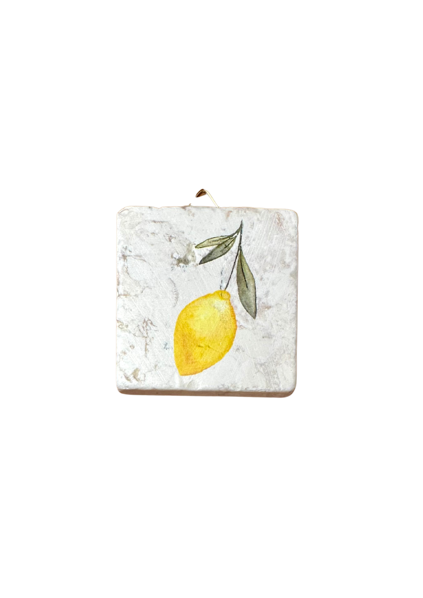 Minifliese evimstore