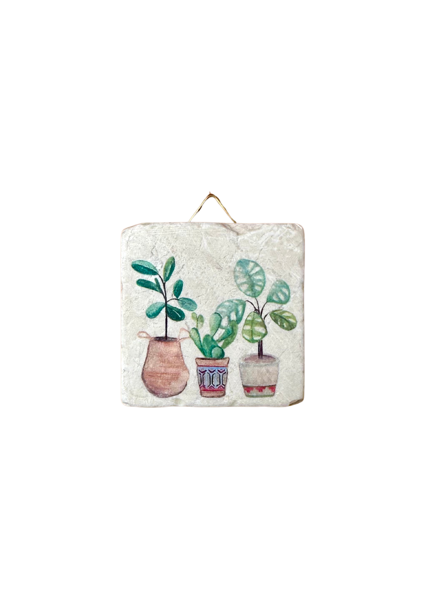 Minifliese evimstore