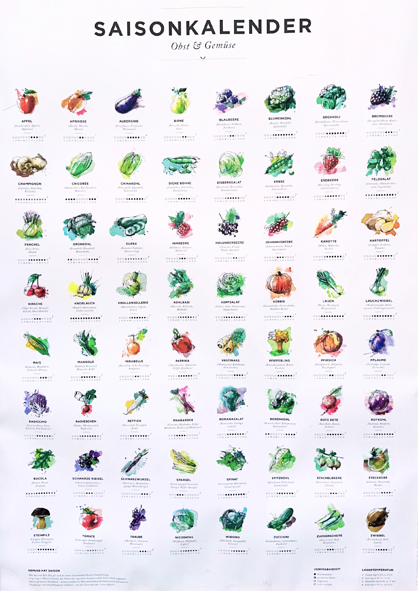 Saisonkalender für Obst & Gemüse Poster