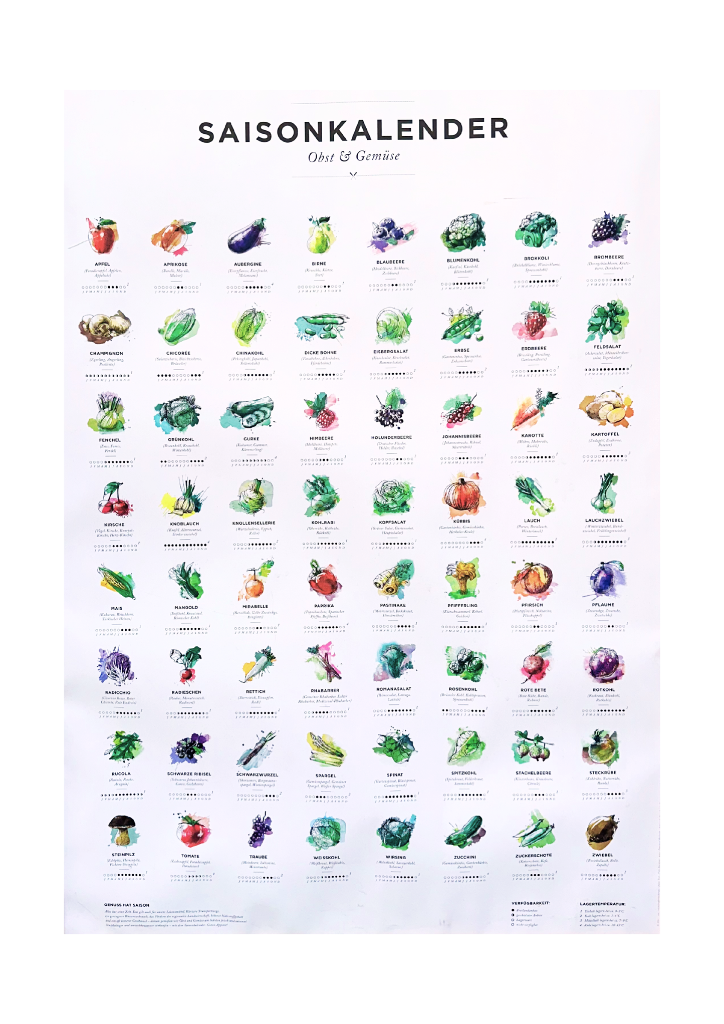 Saisonkalender für Obst & Gemüse Poster