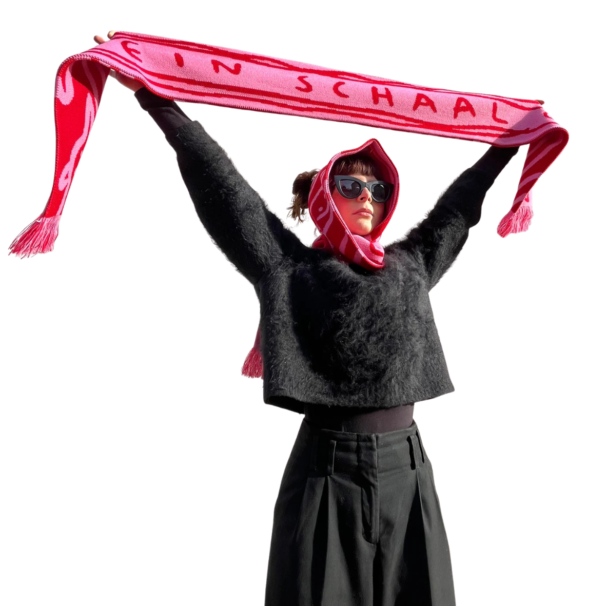 Ein Schaal Obscure Visions