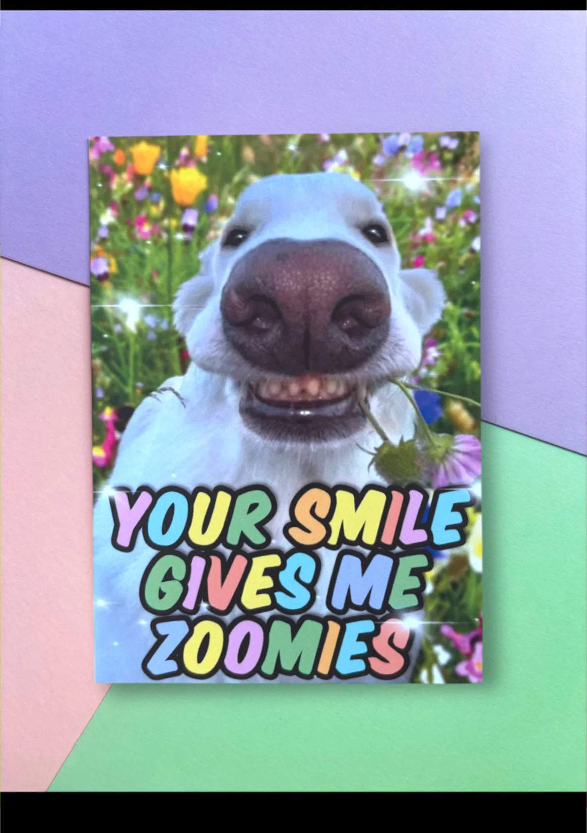 "Your smile gives me zoomies" PK Lchtnbrg