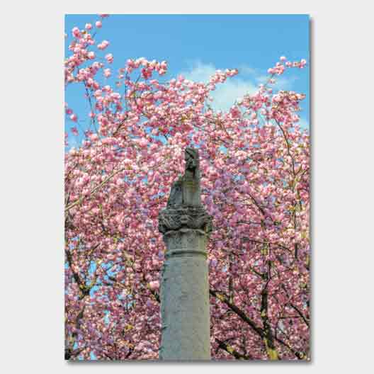 Print & Paint Kirschblütenkalender 2024