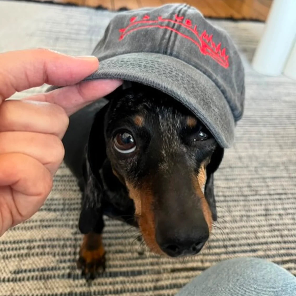 "Fackel" Dackel Cap Obscure Visions