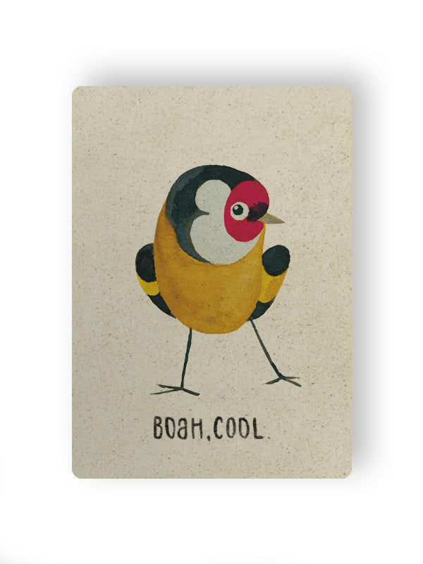 Boah, cool Vogel Postkarte