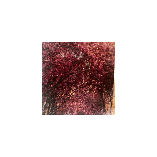 Holzaufhänger Kirschblüte JB