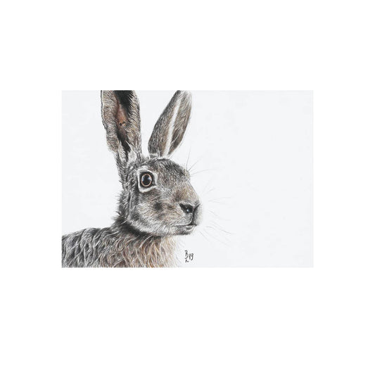 Hase PK bentje.art
