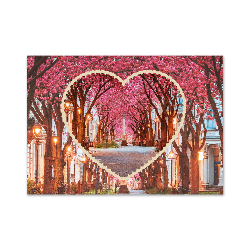 Bonn Kirschblüte Poster A3 Herz