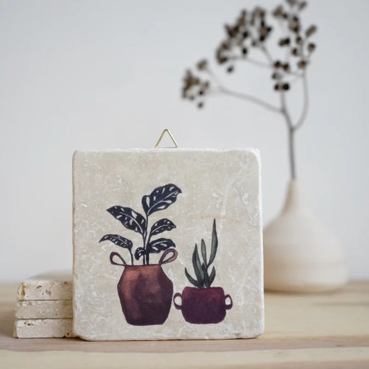 Steinfliese Pflanzen im Topf III