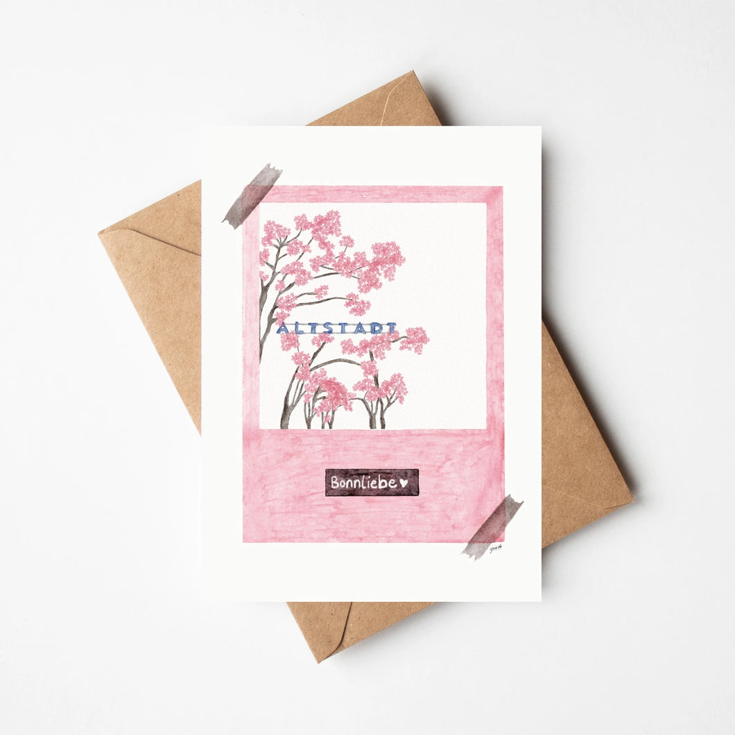 Kirschblüte Polaroid