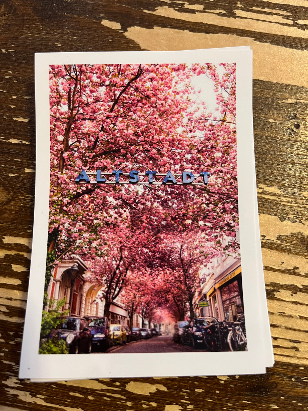 Kirschblüten Aufkleber
